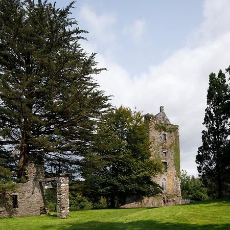Dripsey Castle Estate Villa Cork Bagian luar foto