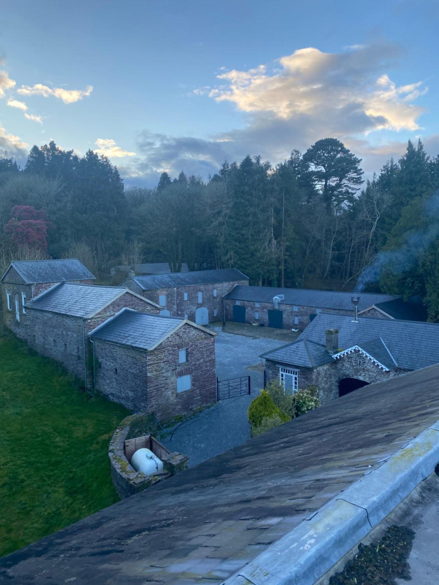 Dripsey Castle Estate Villa Cork Bagian luar foto