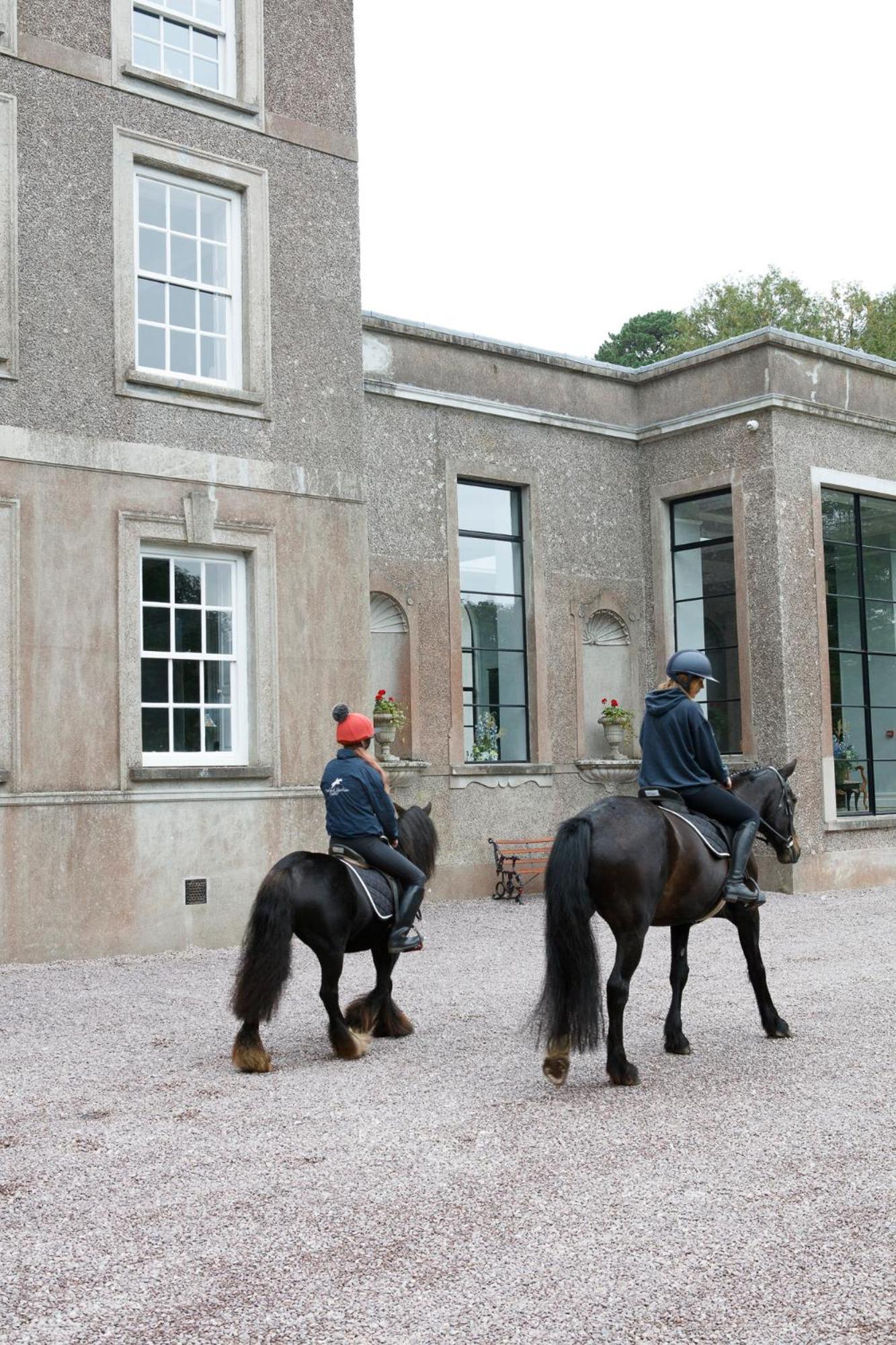 Dripsey Castle Estate Villa Cork Bagian luar foto