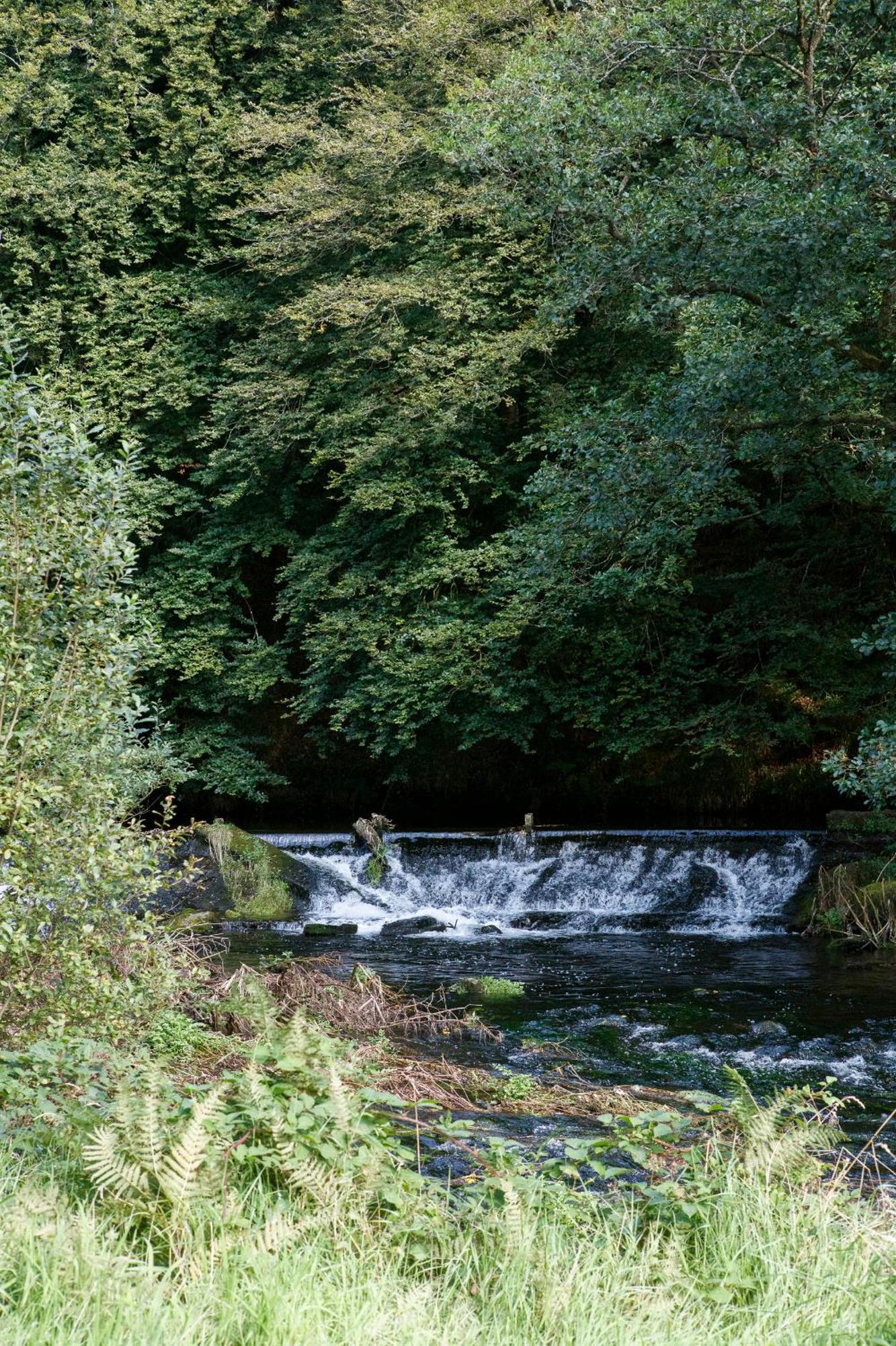 Dripsey Castle Estate Villa Cork Bagian luar foto