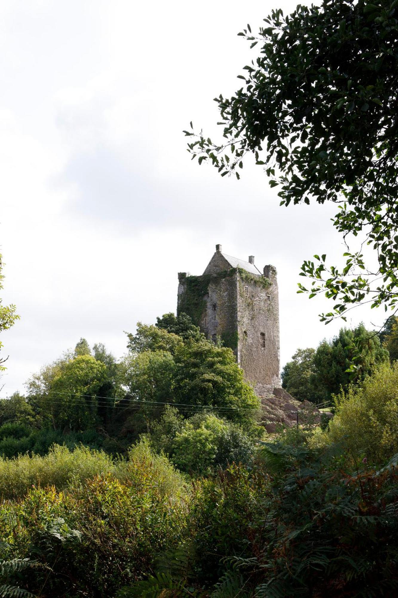 Dripsey Castle Estate Villa Cork Bagian luar foto