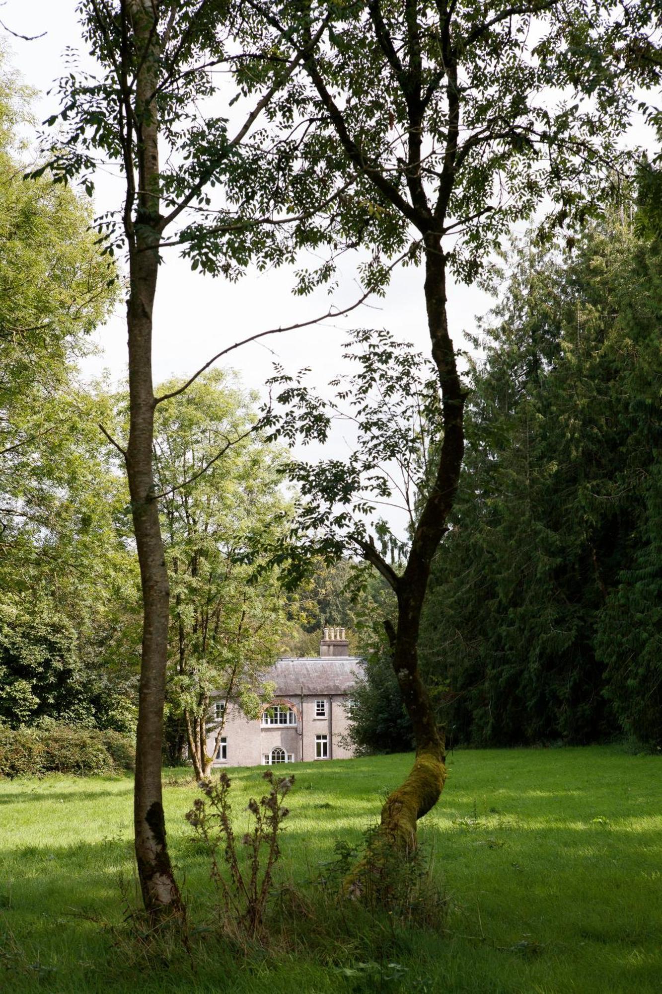 Dripsey Castle Estate Villa Cork Bagian luar foto