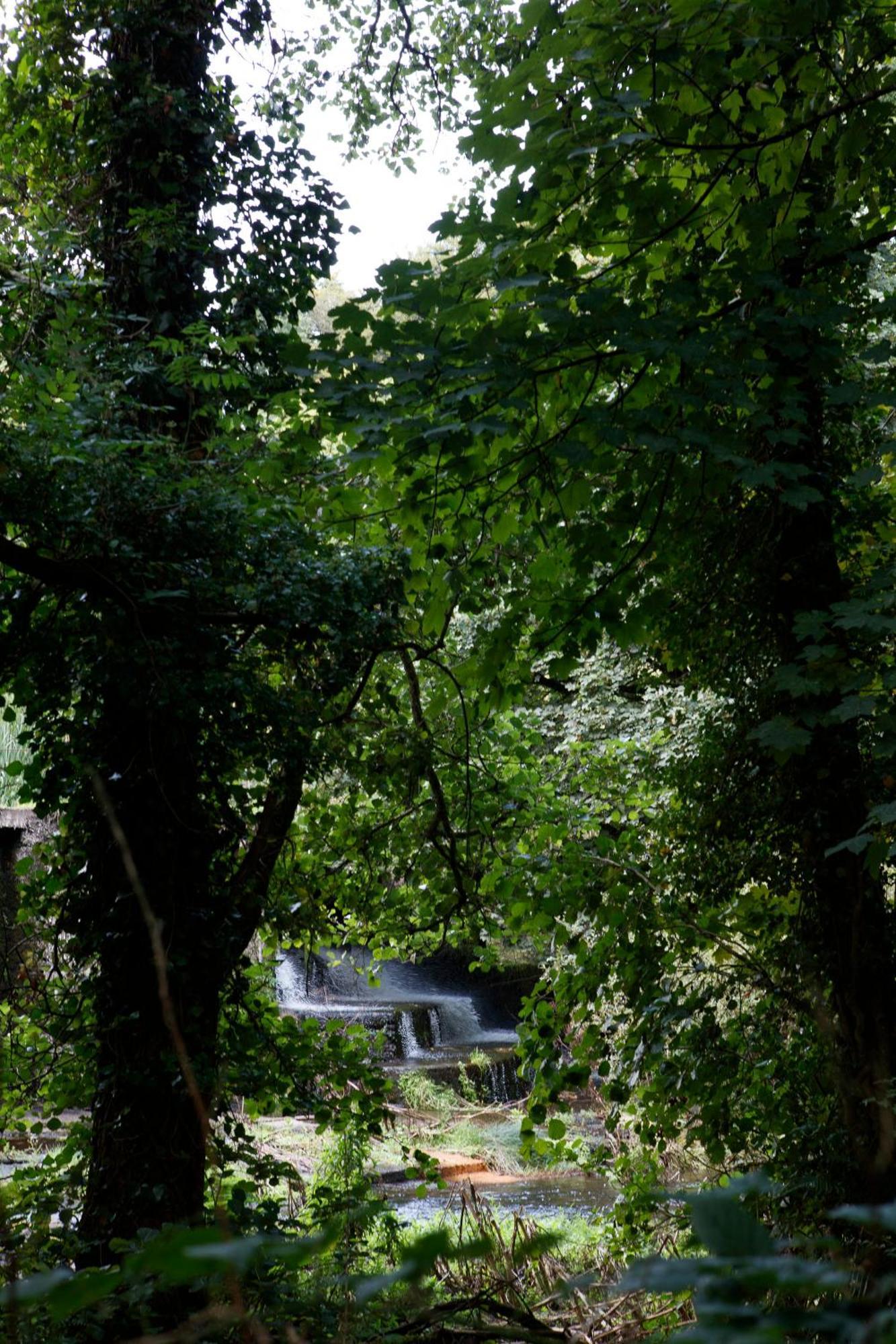 Dripsey Castle Estate Villa Cork Bagian luar foto
