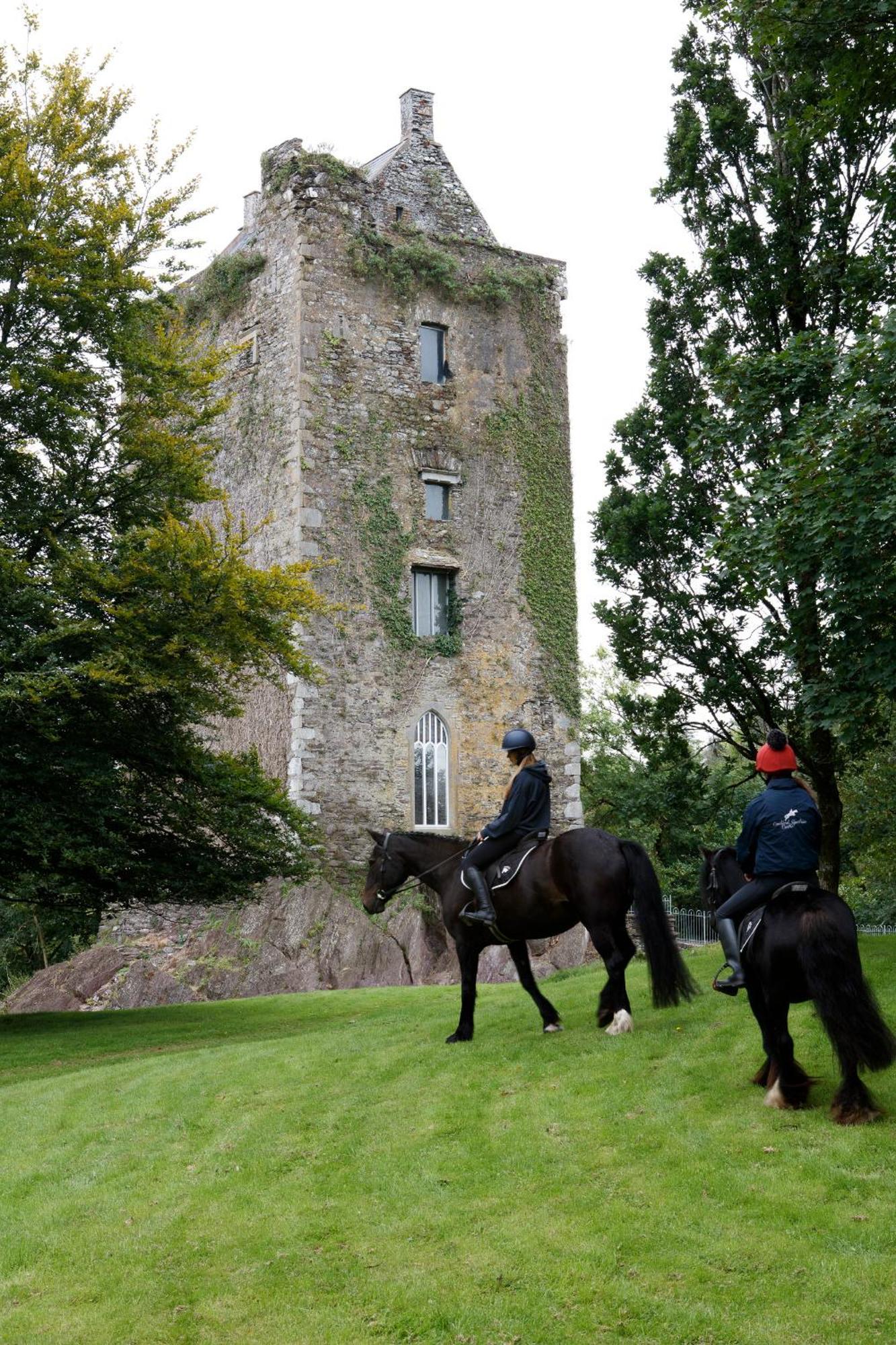 Dripsey Castle Estate Villa Cork Bagian luar foto
