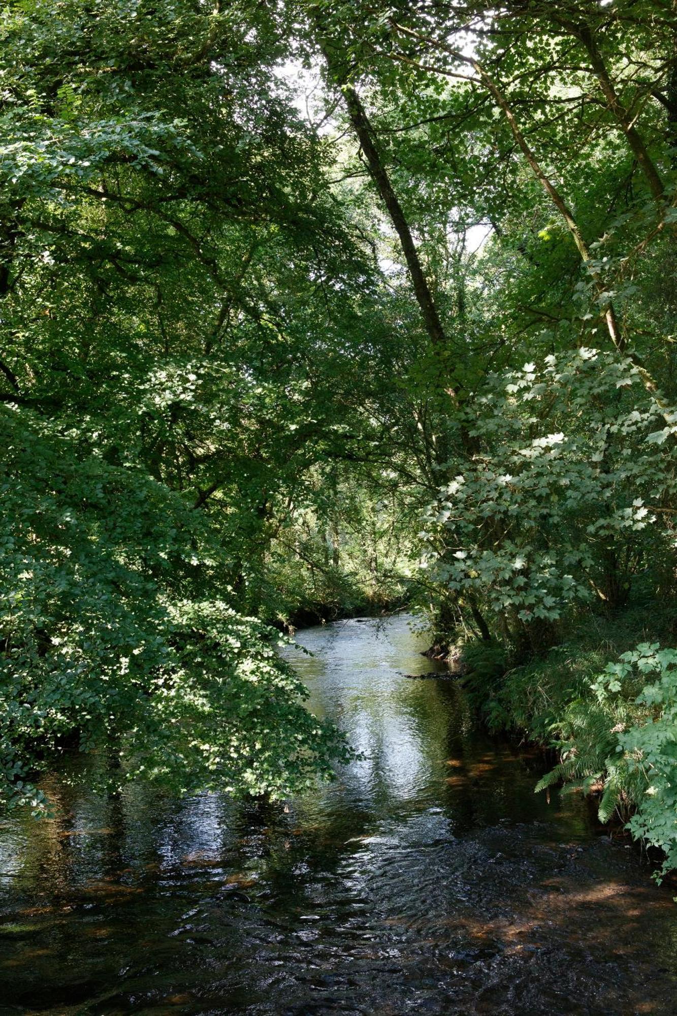 Dripsey Castle Estate Villa Cork Bagian luar foto