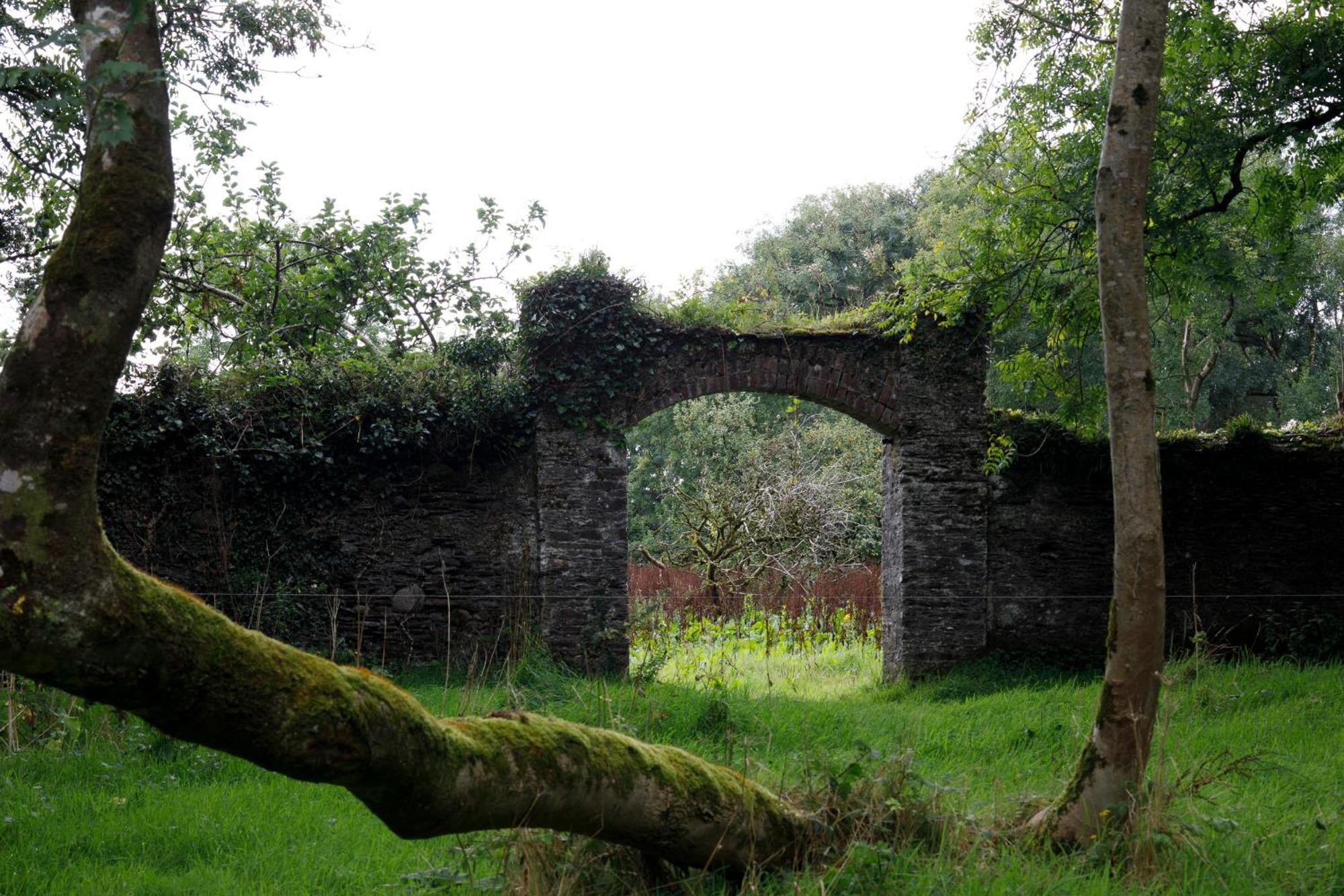 Dripsey Castle Estate Villa Cork Bagian luar foto